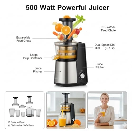 Dual Speed Electric Juicer - 500W 500 Milliliters