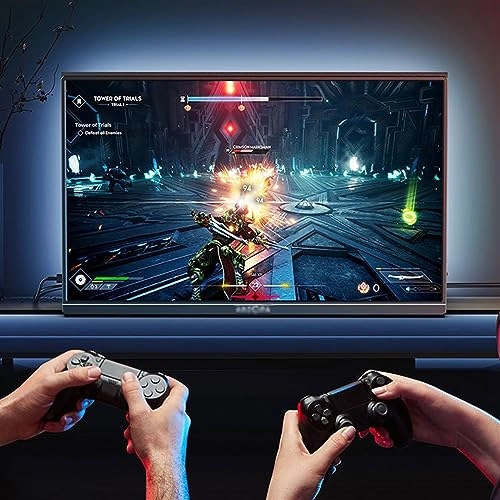 Portable Monitor - FHD 17.3-inch