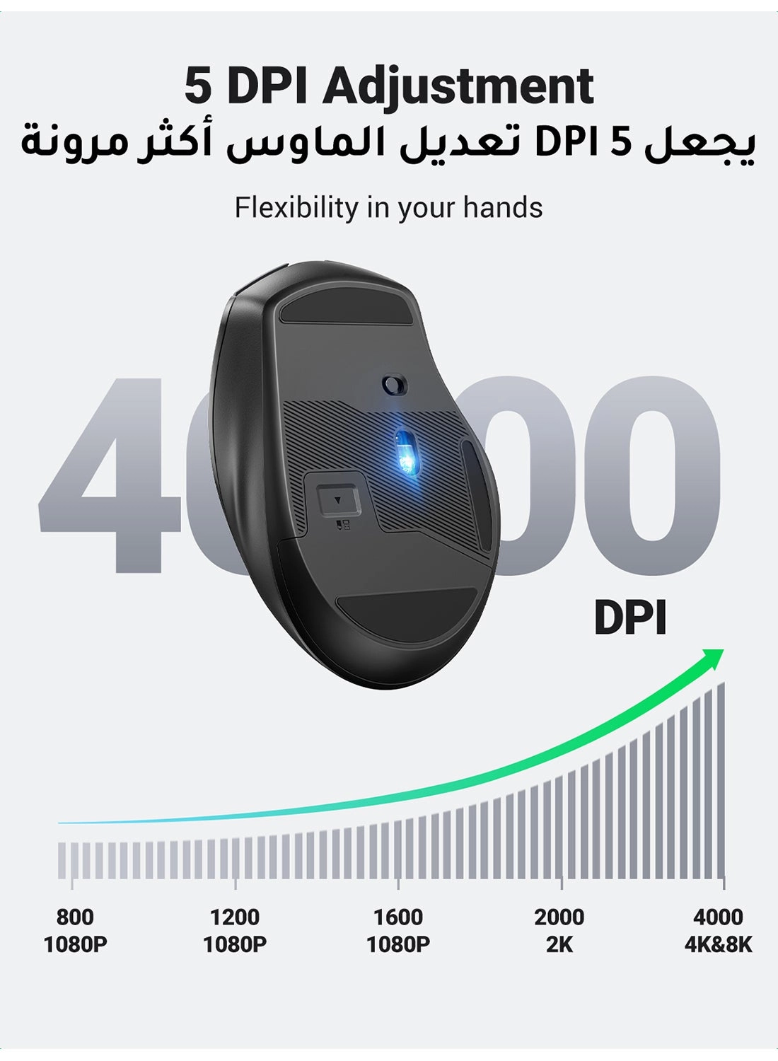 Ergonomic Mouse - Wireless