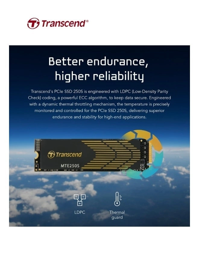 PCIe SSD 250S - 2TB M.2 2280