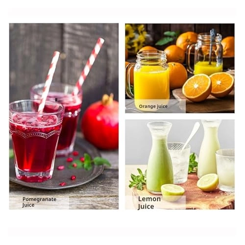 Commercial Orange Juicer Machine - 120W