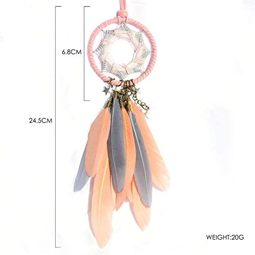 Dreamcatcher - Siderosphere, feathers, lines, wood beads.