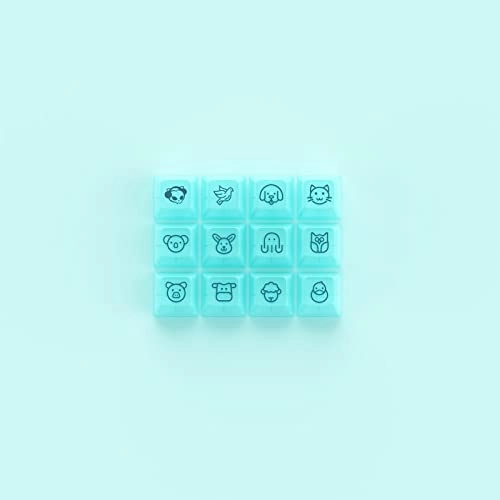 Clear Translucent - Wired