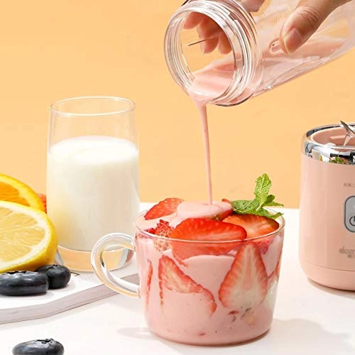 Mini Juicer - 300W 500ml