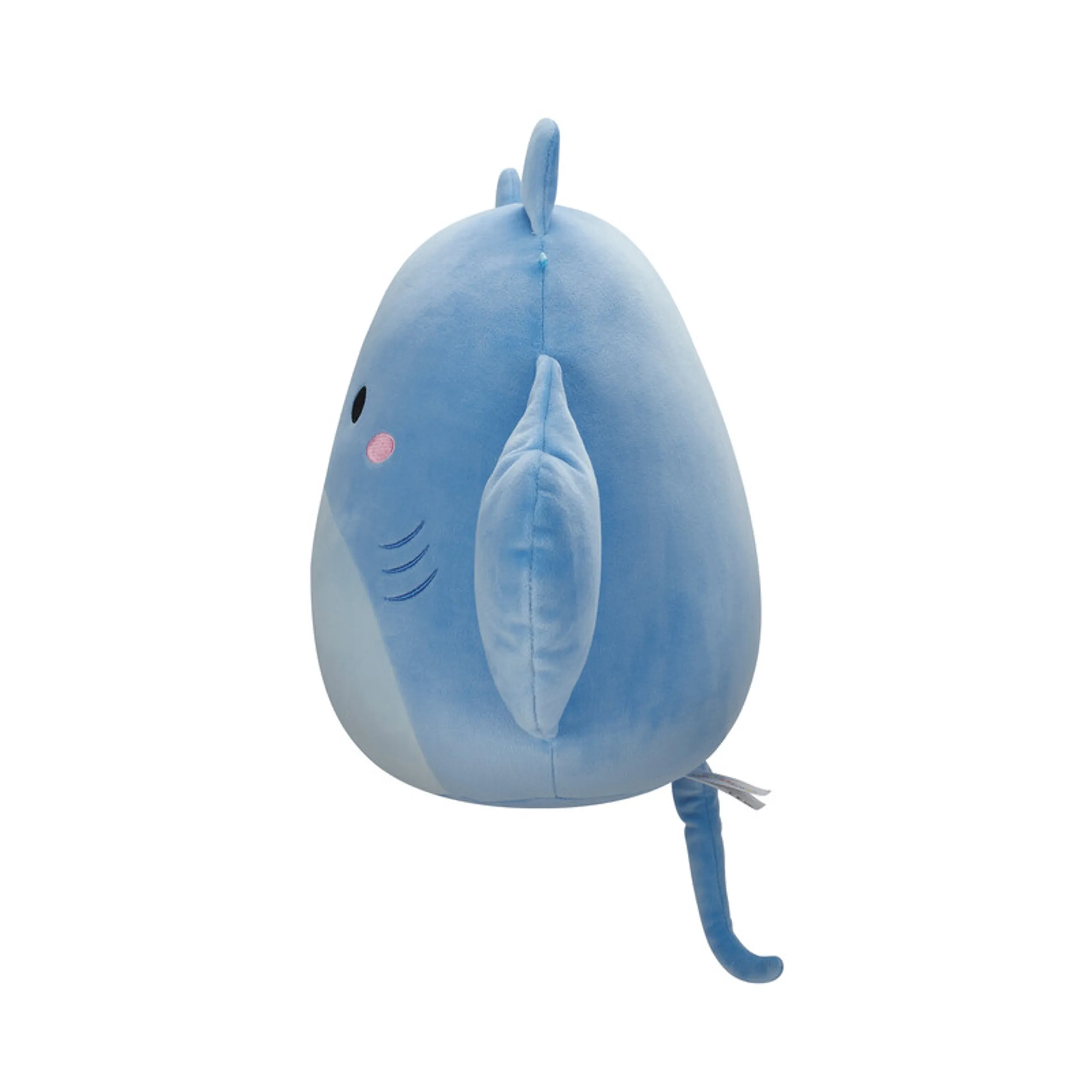 Manta Ray - 12 inch