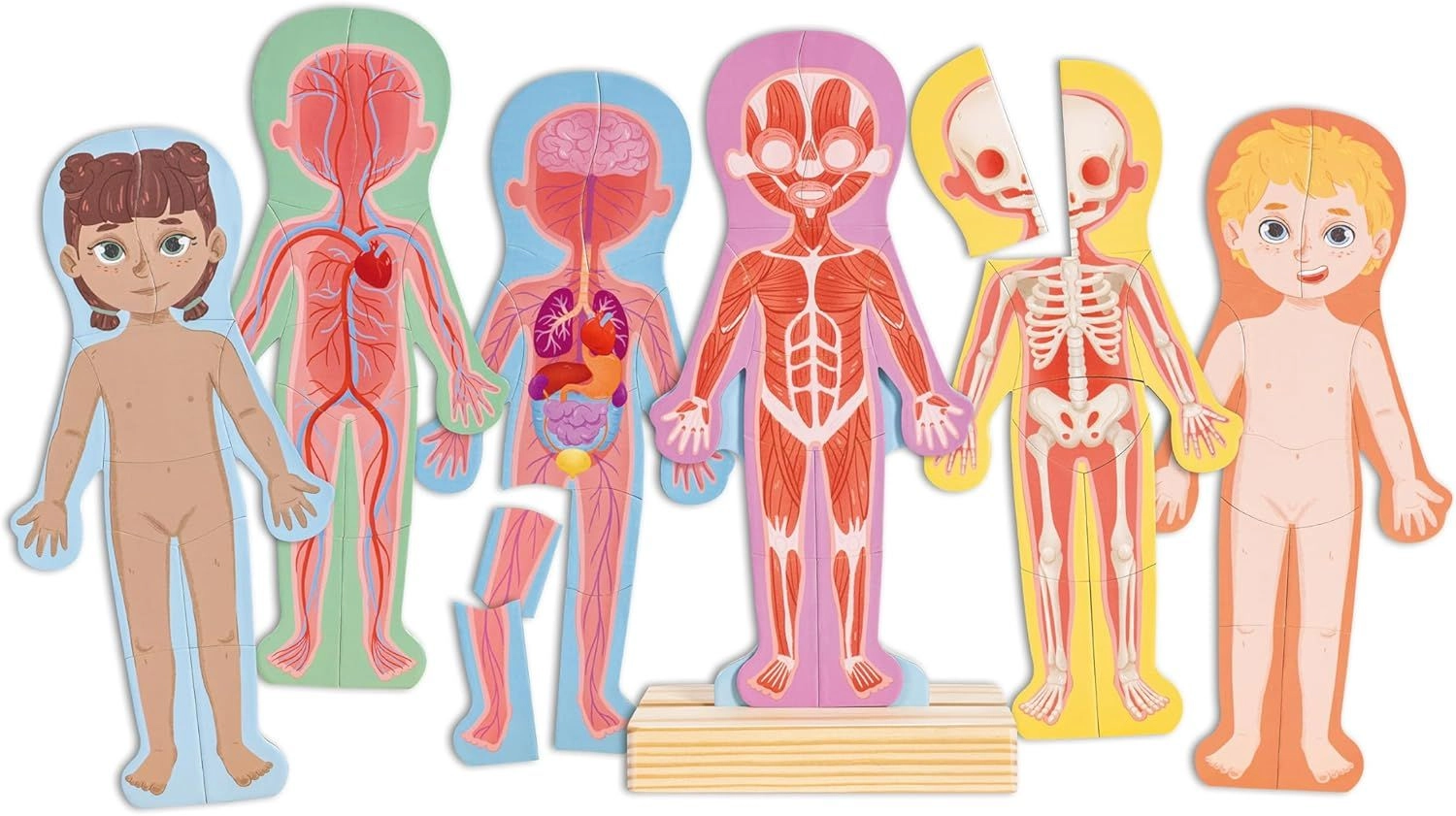 Hape Human Body Magnetic Puzzle - 3 + 63 pieces