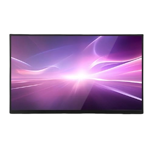 Portable Display - 1080P 18.5 inch