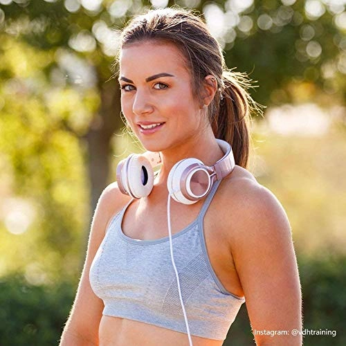 MS300 Wired Headphone