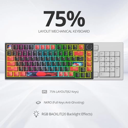 75% TKL Wired Mechanical Keyboard - Wired/Wireless