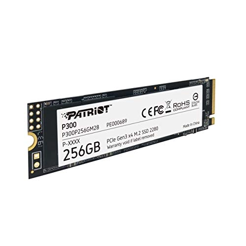 P300 - 256GB M 2