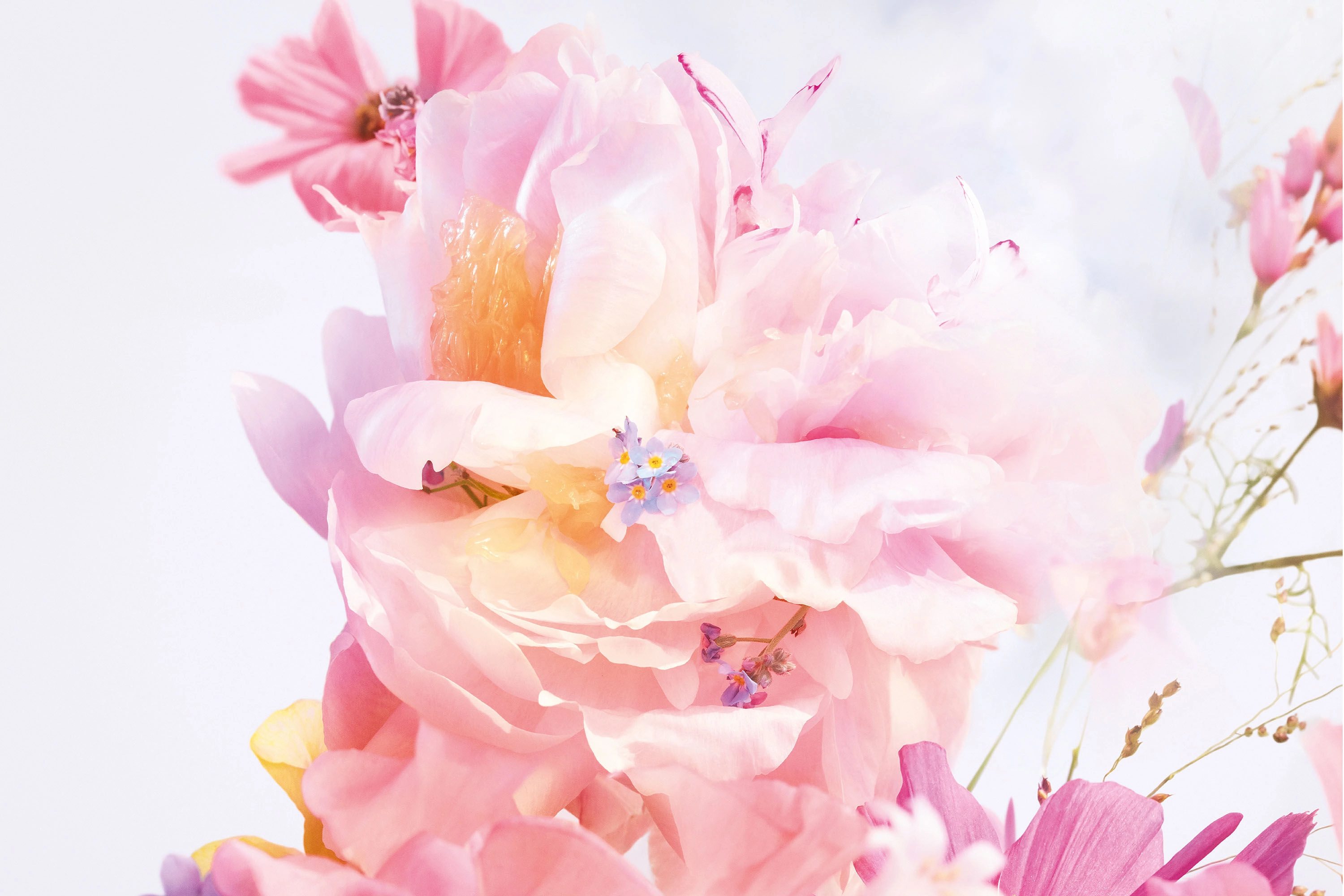 Miss Dior Blooming Bouquet Eau de Toilette 30 ml