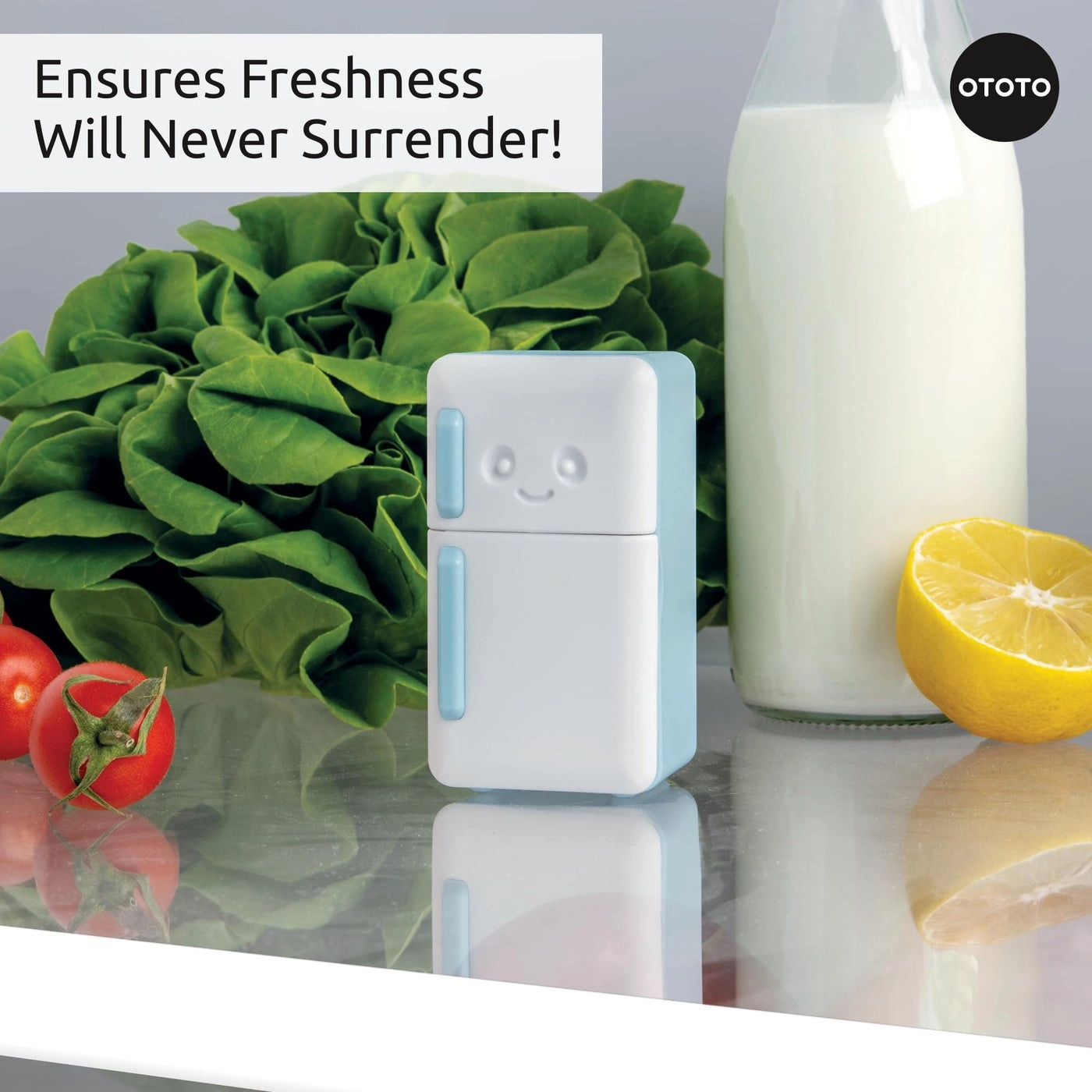 Fridge Deodorizer