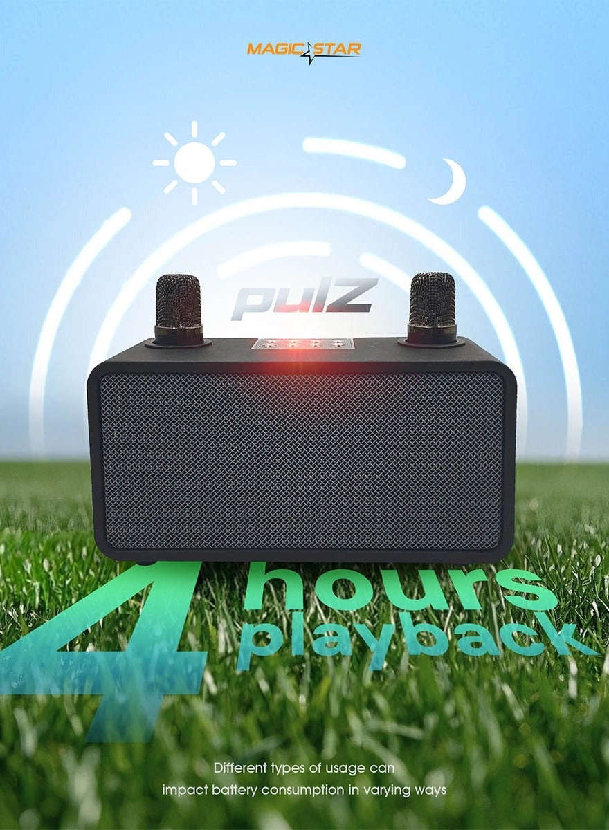 Pulz Mini Karaoke - 2 Microphones