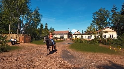 Windstorm: Start of a Great Friendship Remastered - PlayStation 5