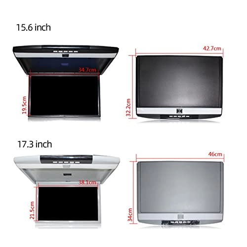 Car Roof Mount Screen - 17.3 Inch