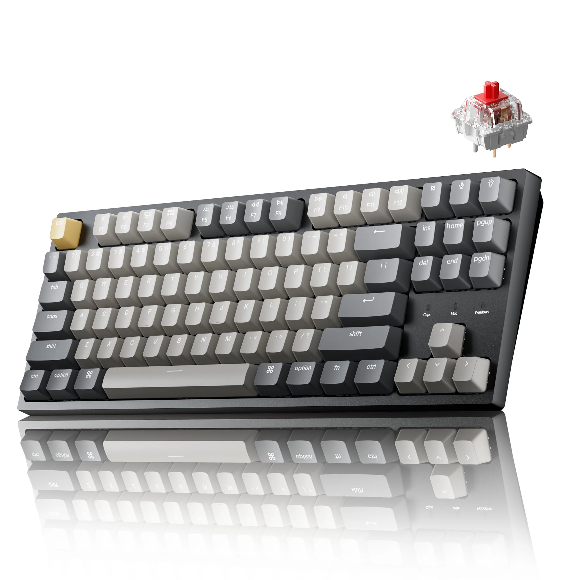 C1 - Mac Wired