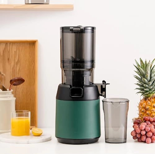 Slow Masticating Juicer - 300W