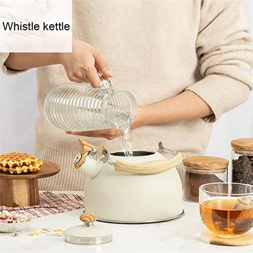 Kettle - Stainless Steel Auburn