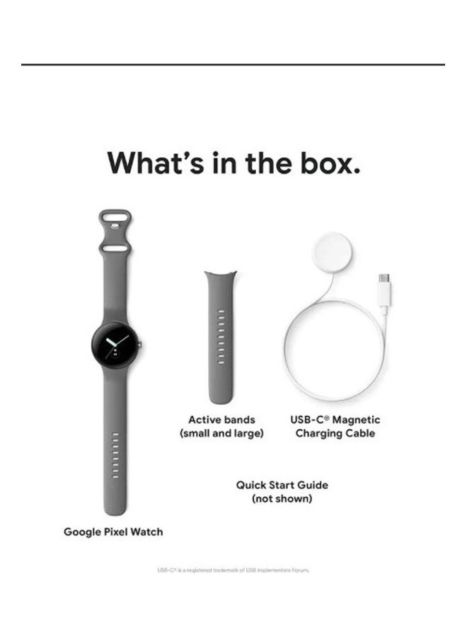 Pixel Watch stainless steel WiFi