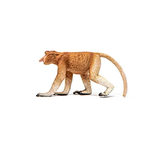 Proboscis Monkey - Wild Life - 3 anni