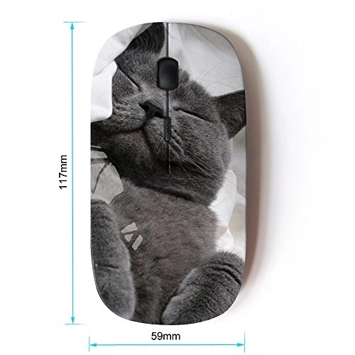 Optical Mouse - Wireless