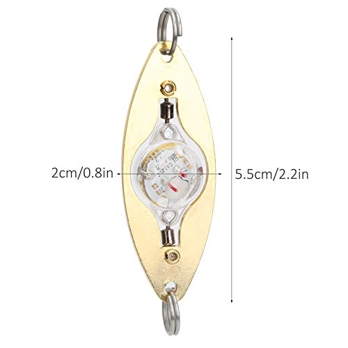 LED Lure Light - 2Pcs Blue Eye Shape