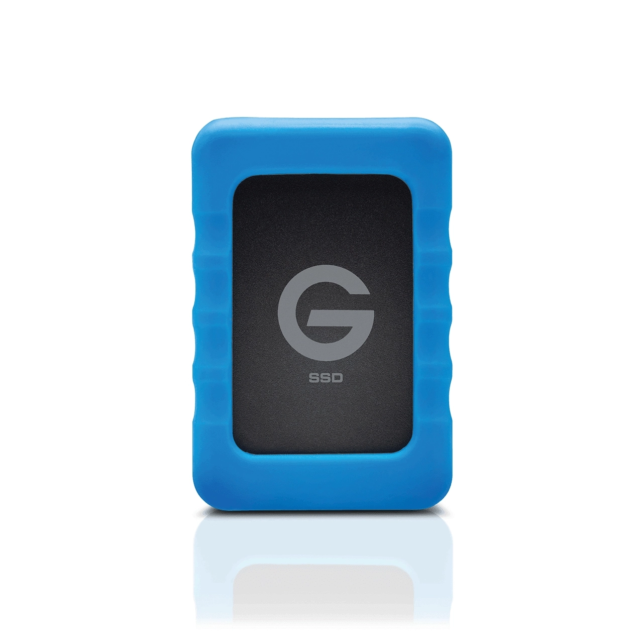 G-Technology G-Drive R-Series - 1TB