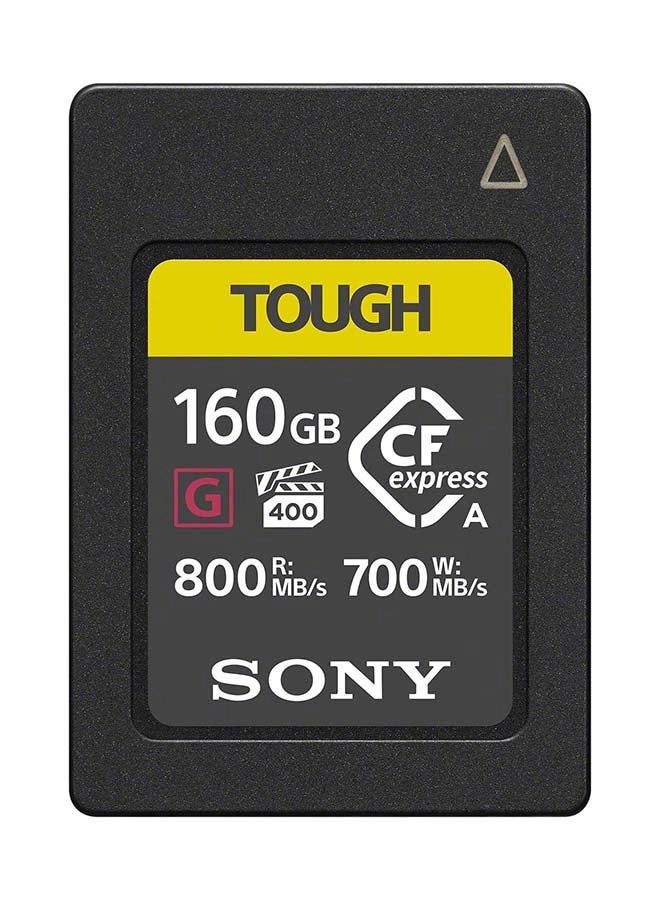 Sony CEA-G160T - 160GB