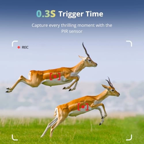TrailCam-Basic - 16MP