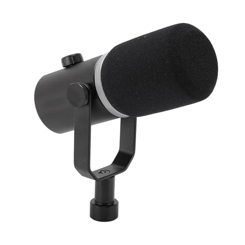 PM1 USB+Wireless Microphone