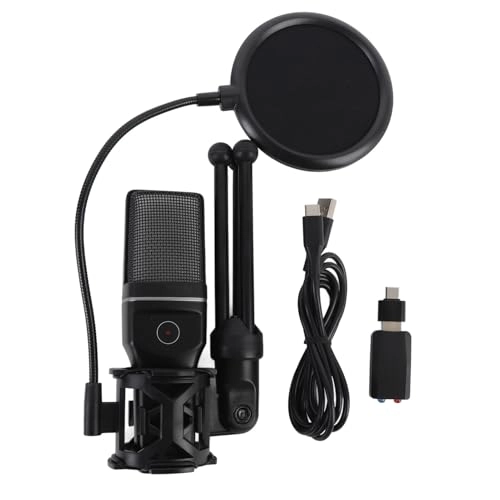 Annadues6425axq0n USB+Wireless Microphone