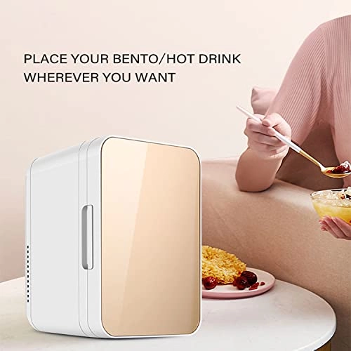 Mini Fridge - Portable Cooler Warmer
