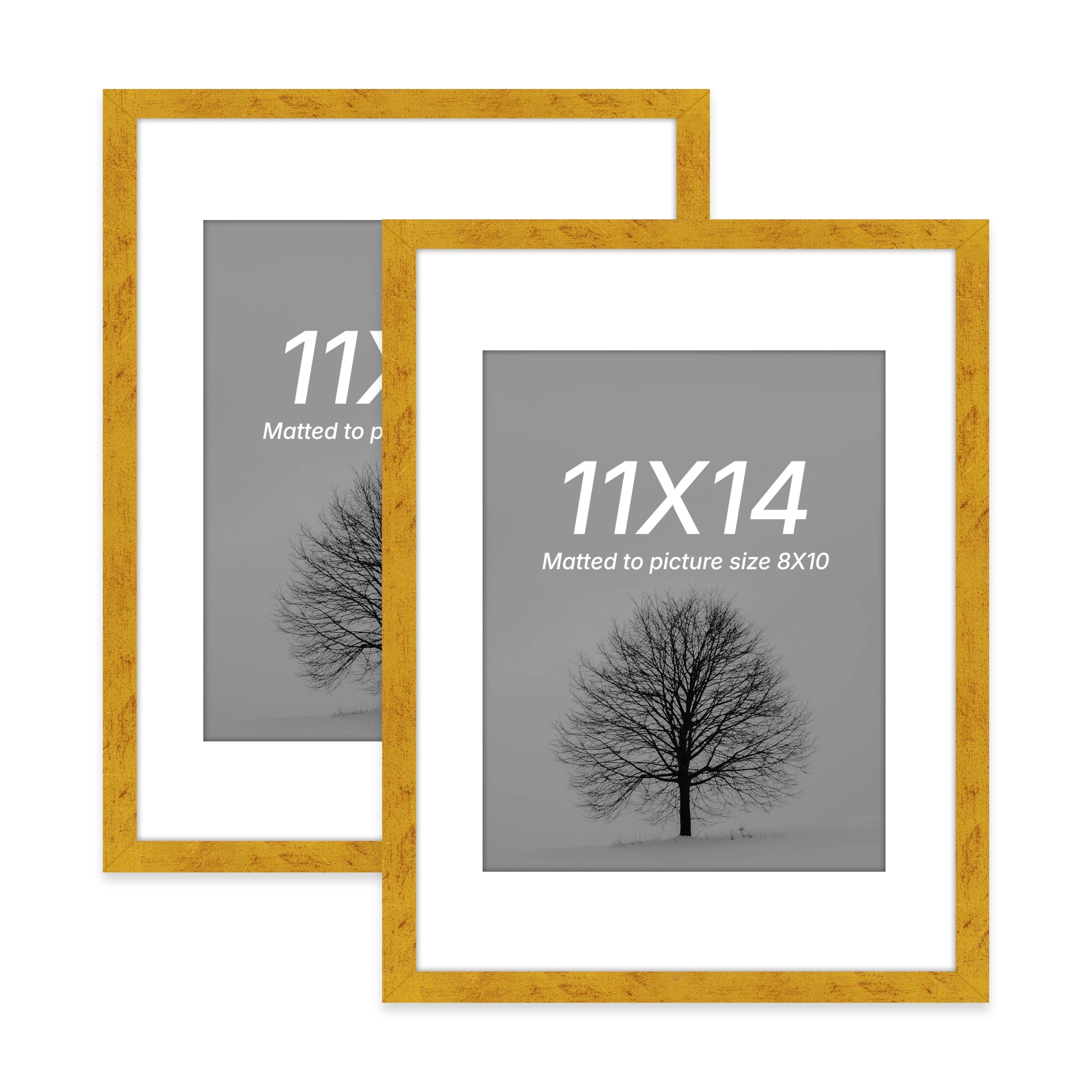 Document Frame - 11x14 Inch