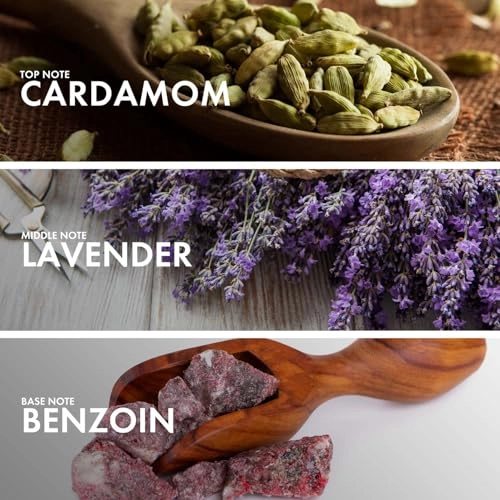 Currant Benzoin Eau de Parfum 50 ml