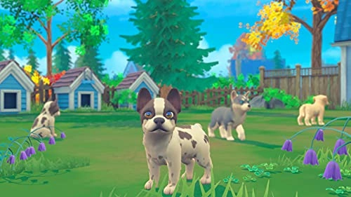 My Universe: Puppies and Kittens | Nintendo Switch