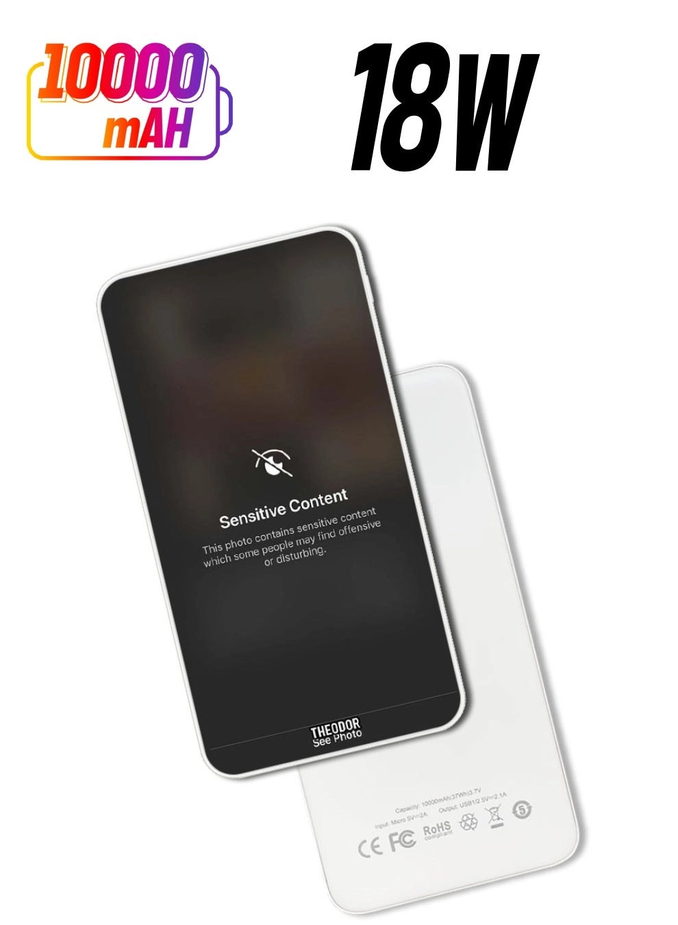 PPBA528 - 10000 Watt-hour 18W PD output