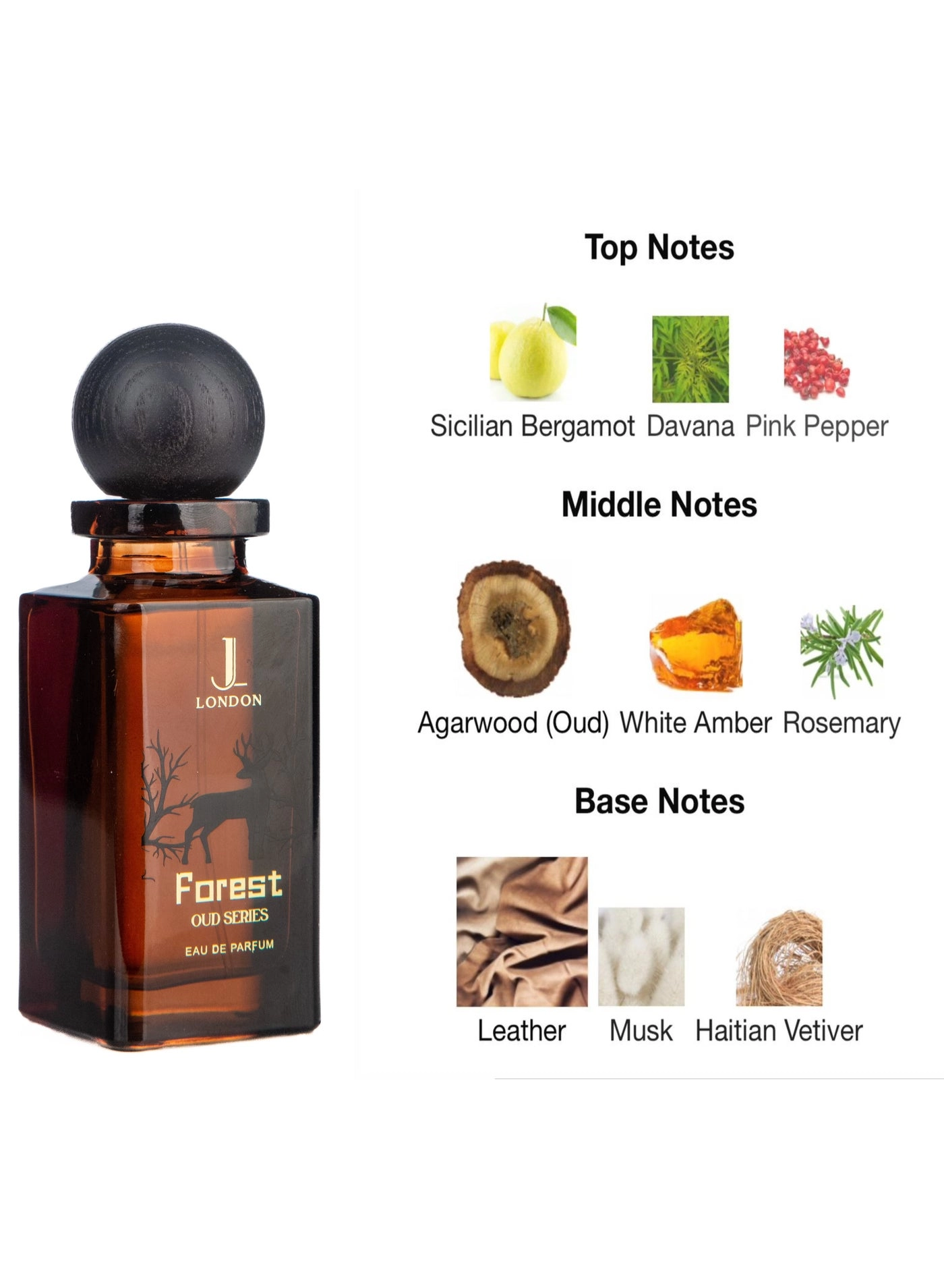 Forest Eau de Parfum - 80ml