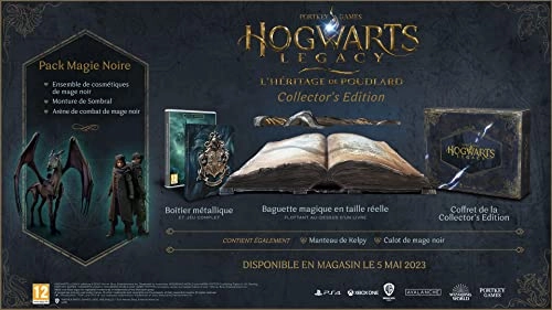 Hogwarts Legacy Collector's Edition - Xbox One