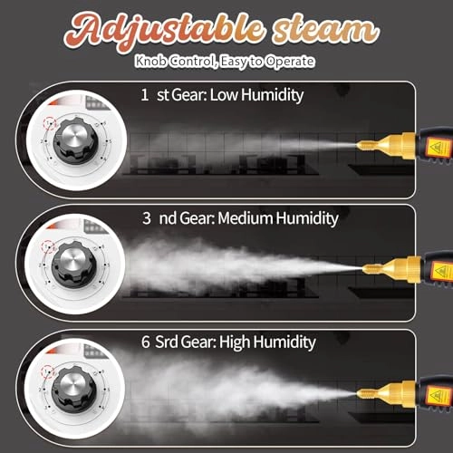 Steam Cleaner - 1000 Milliliters