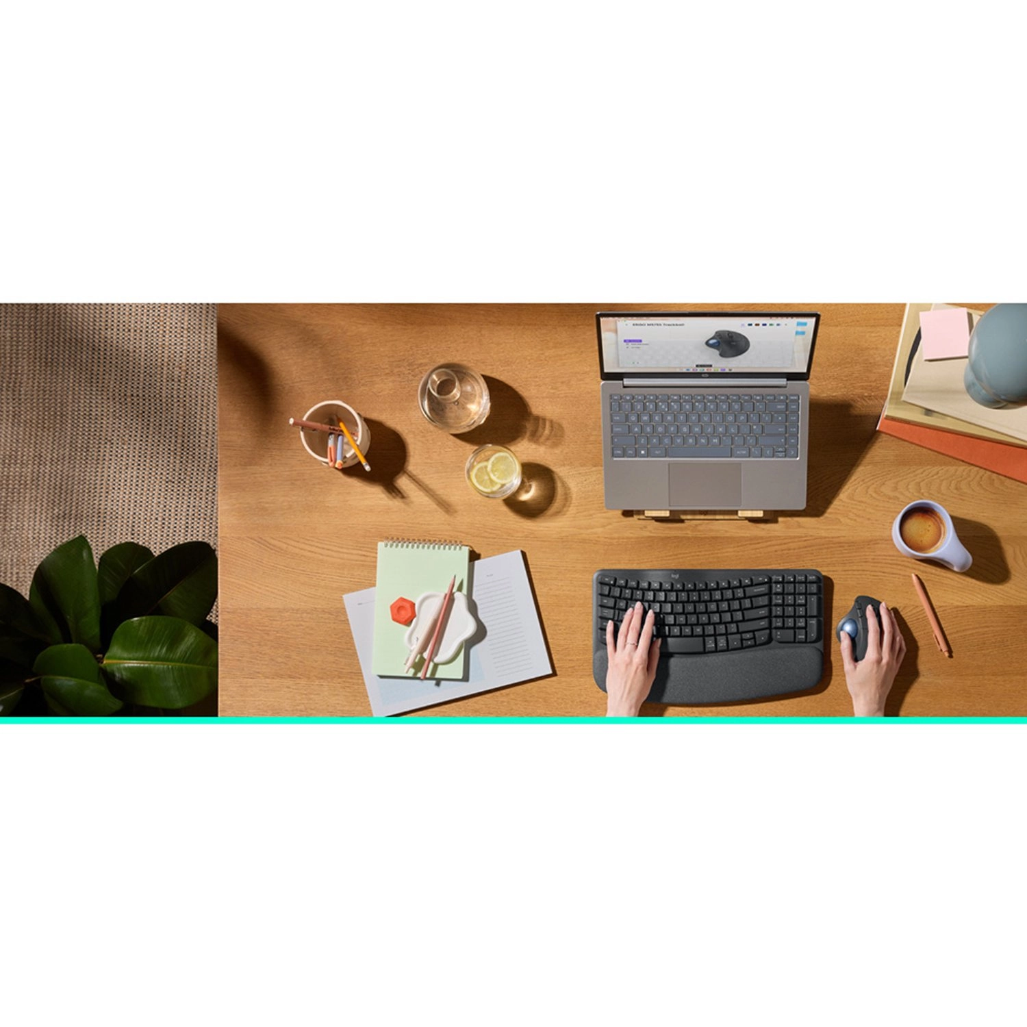 ERGO M575S Trackball Mouse - Wireless