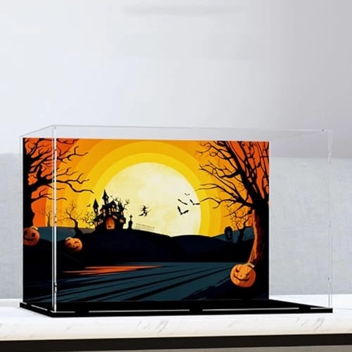 Acrylic Display Case