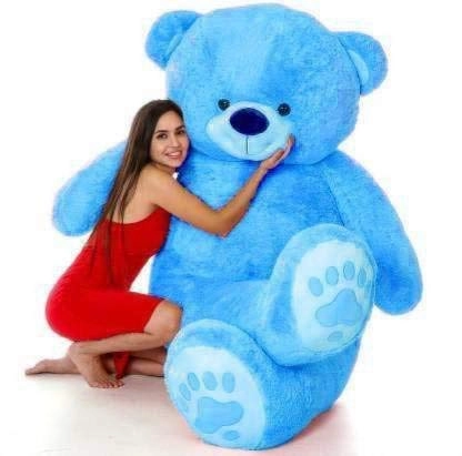 Teddy bear
