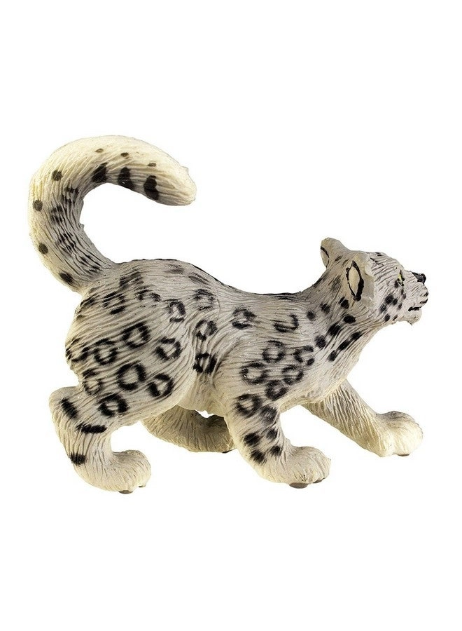Snow Leopard Cub
