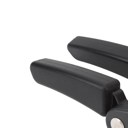 Rear Box Passenger Armrest - R1200GS