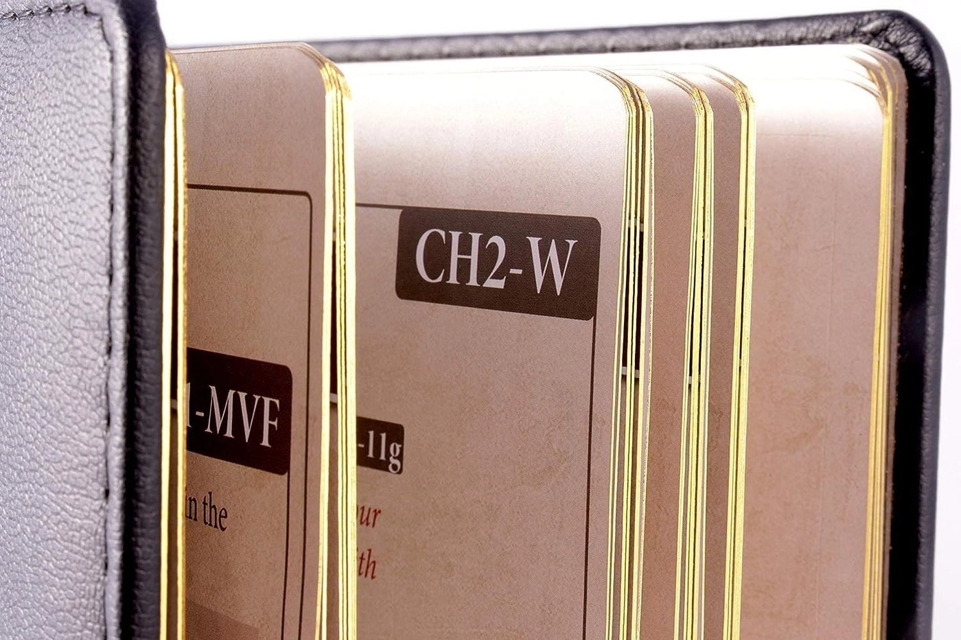 Ultimate Werewolf Legacy