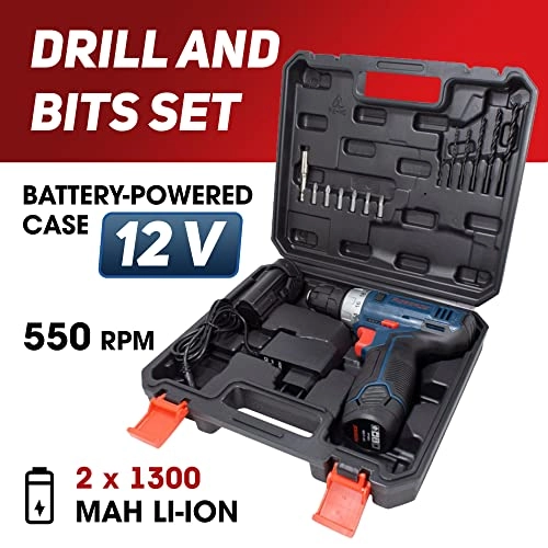 ROCKFOECE - 2 x 1300 mAh Li-Ion