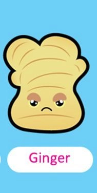 Stir frys - 10 cm Multi Colour