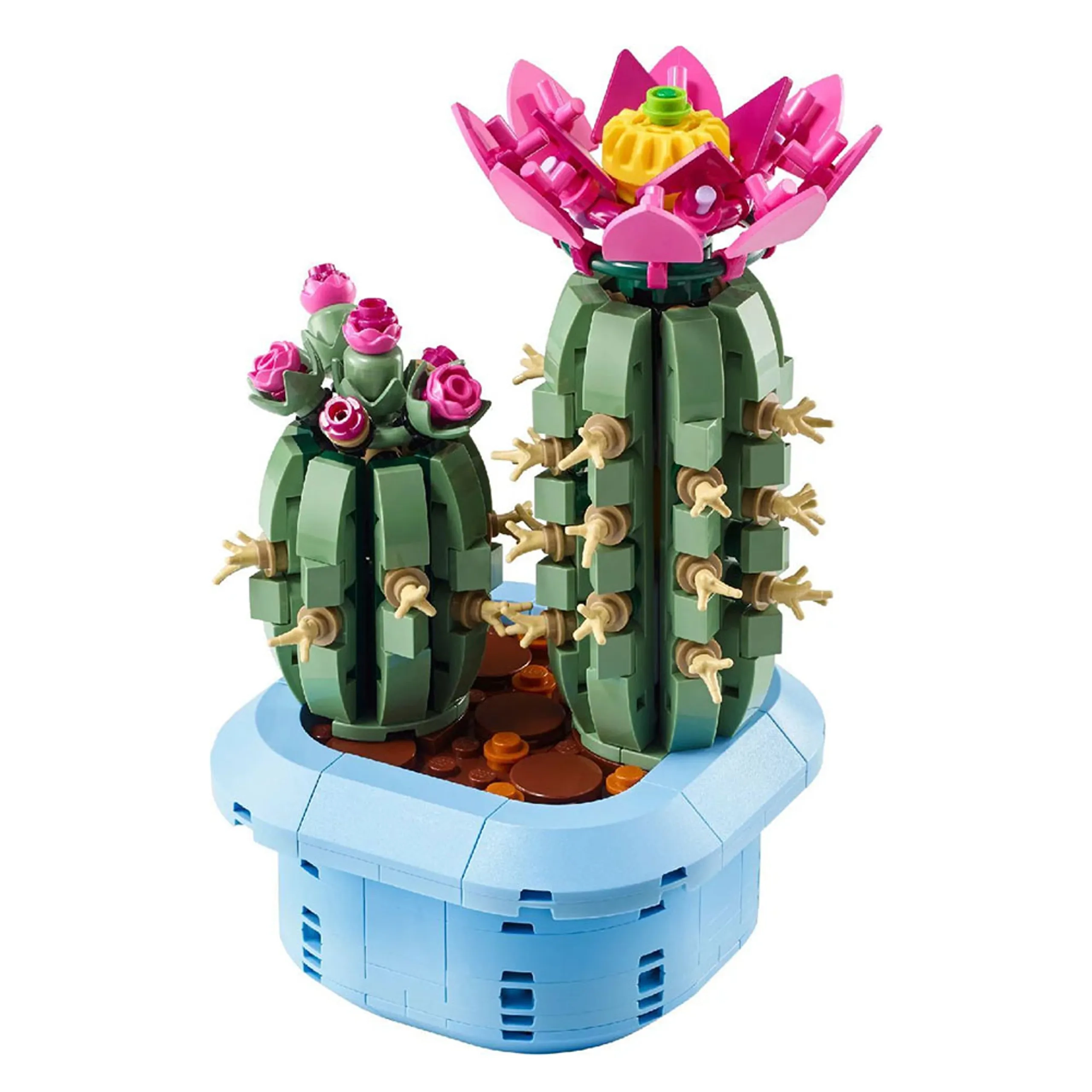 Flowering Cactus (11509)