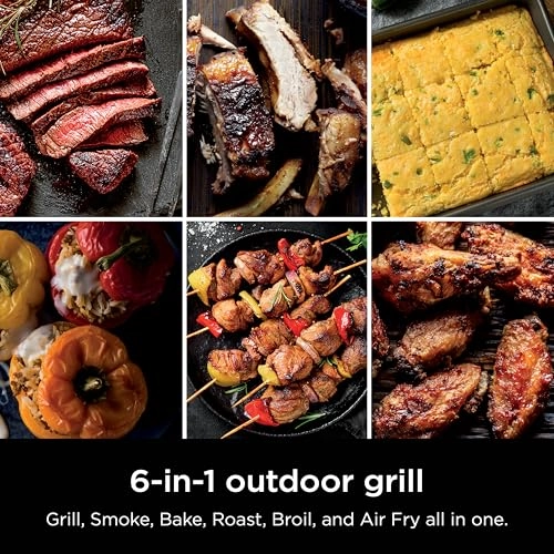 Woodfire Outdoor Grill & Smoker - Electric