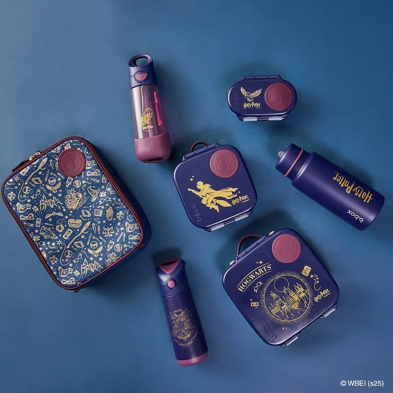 Flexi Insulated Lunch bag